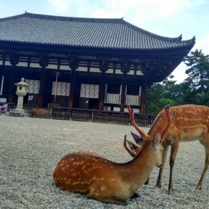 日本旅行攻略——十大旅游城市